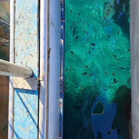 Casa Ani Ischiadigio Ischia