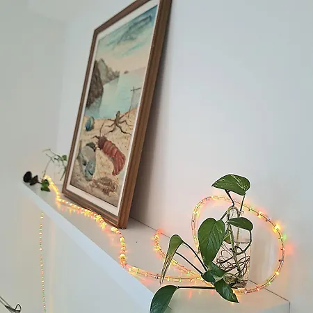Casa Ani Ischiadigio 펜션 *