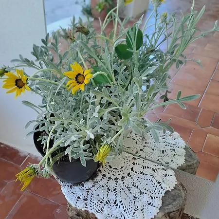 Casa Ani Ischiadigio *