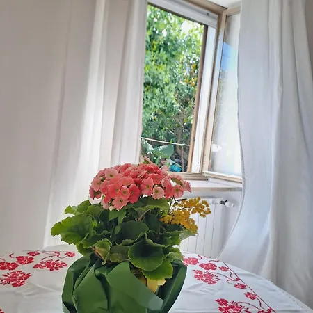 度假居 Casa Ani Ischiadigio *